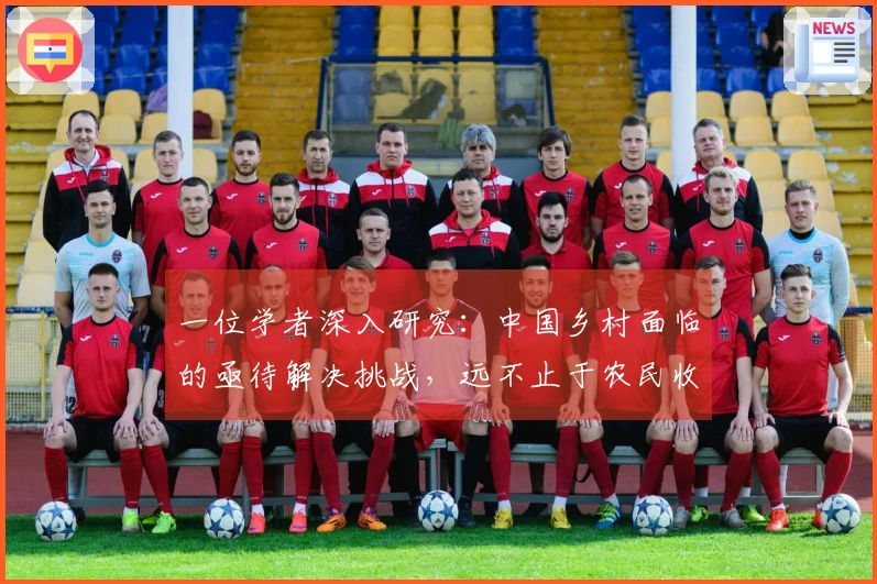 一位学者深入研究：中国乡村面临的亟待解决挑战，远不止于农民收入偏低
